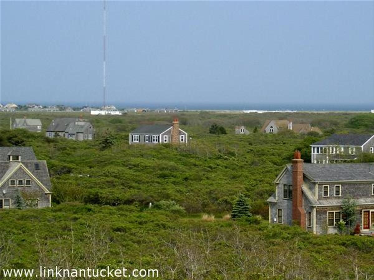 Tom Nevers- 17 LYONS LANE Image