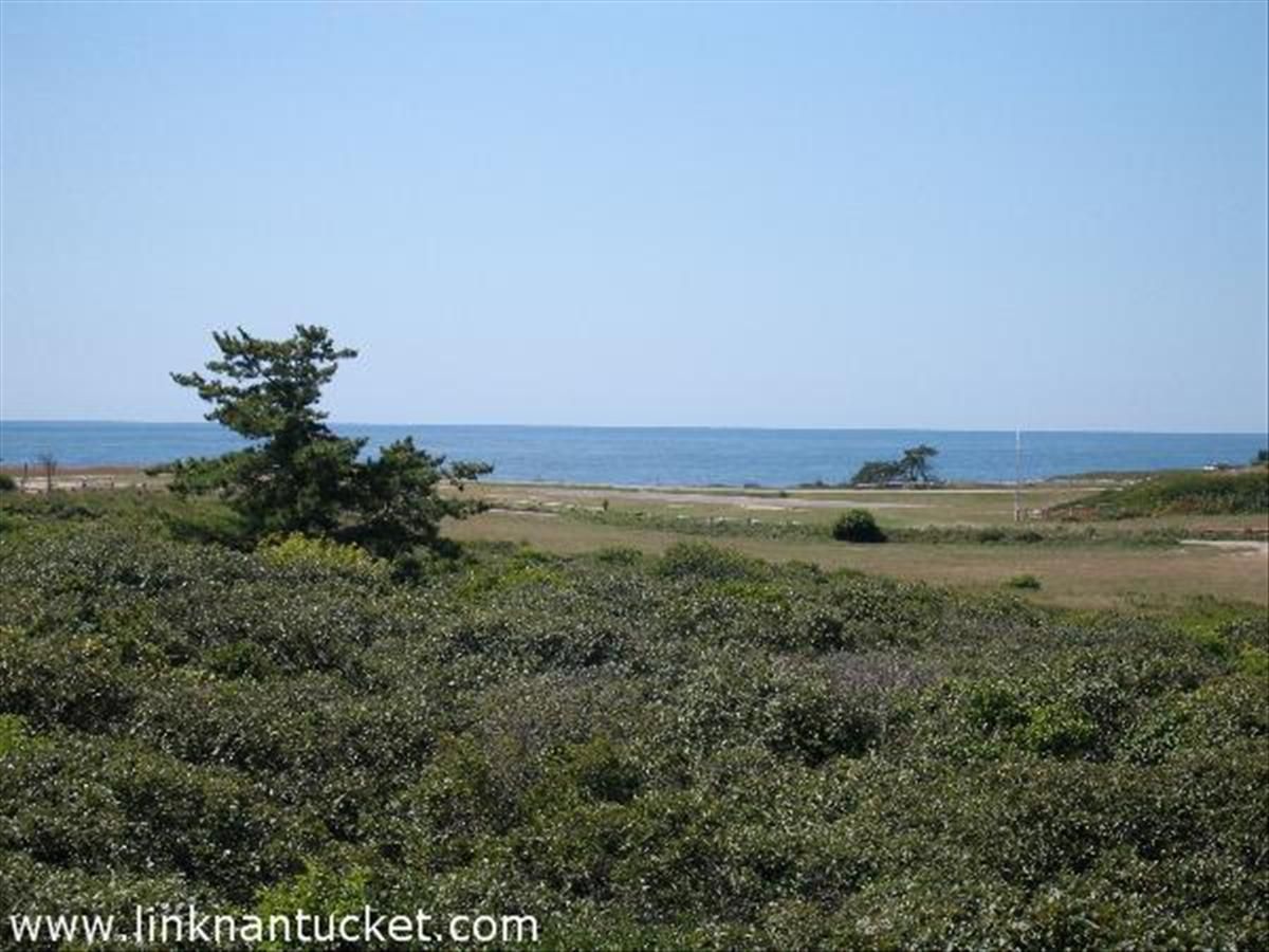 Tom Nevers- 4 Van Fleet Circle Image