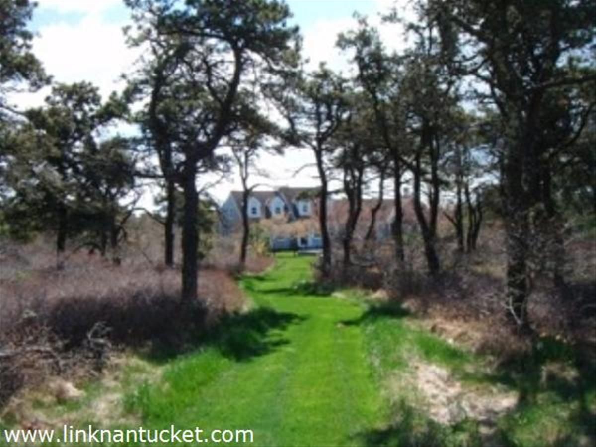 Surfside- 15 Skyline Image