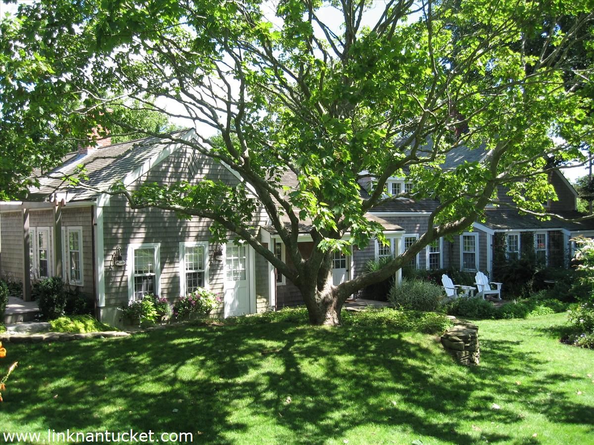 Town- 3 Joy Street Image