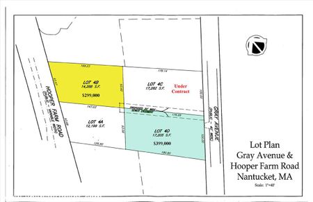 Lot 4 D is in Blue.