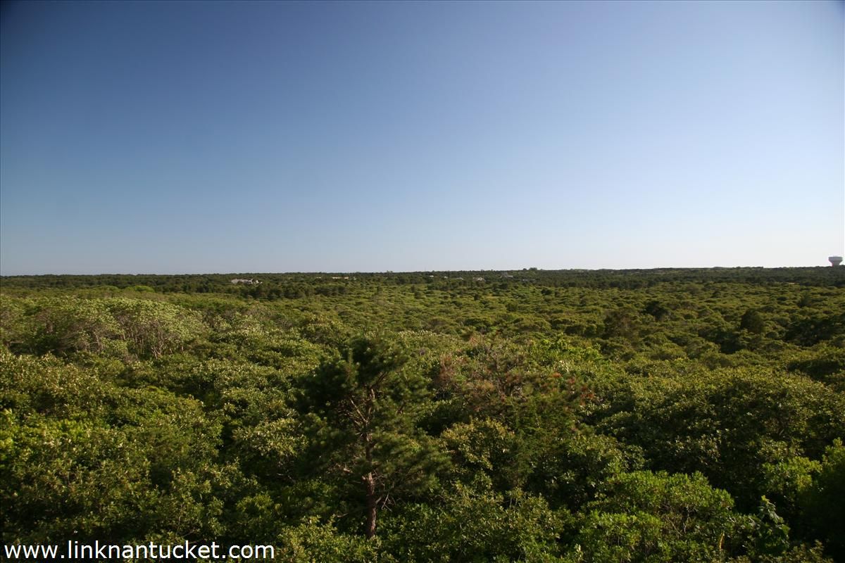 Polpis- 25 North Pasture Lane Image