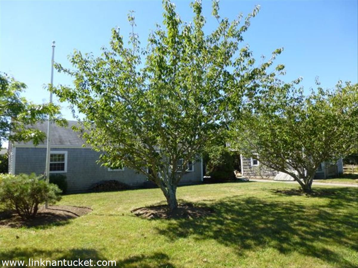 Mid Island- 1 Thurstons Way Image