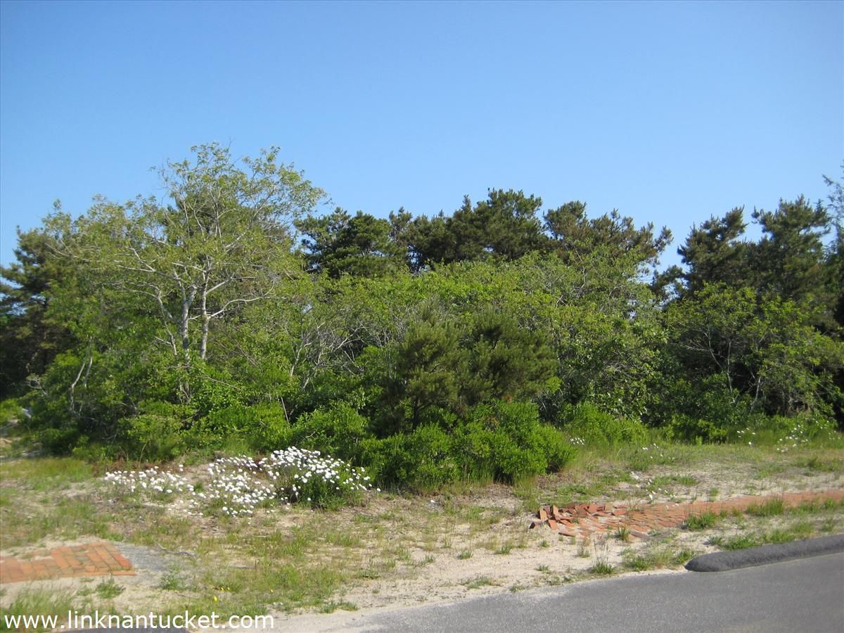 Mid Island- 1 Cachalot Lane placeholder
