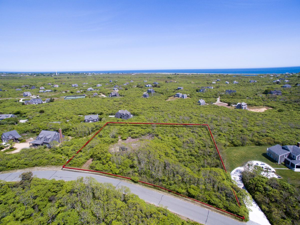 Tom Nevers- 17 Lyons Lane Image