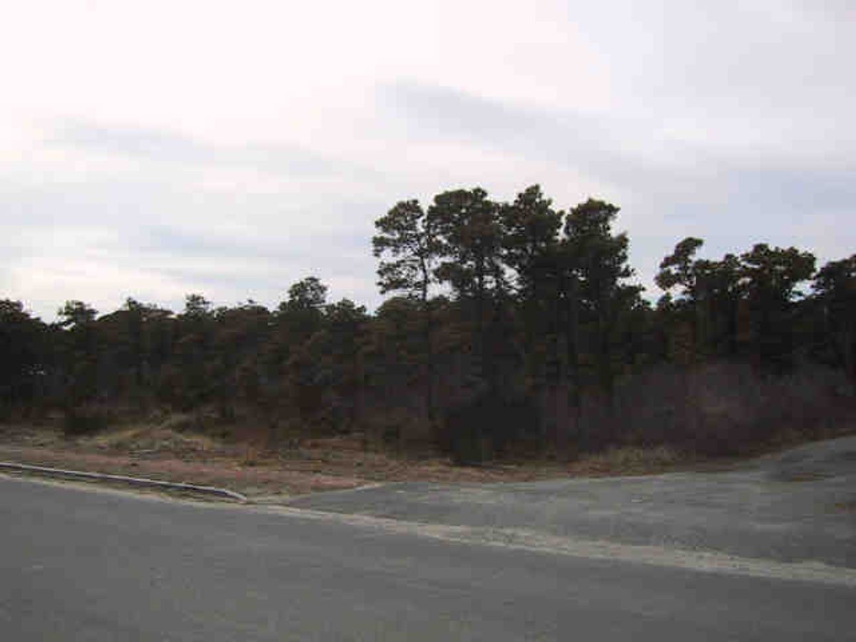 Mid Island- 19 Amelia Drive Image