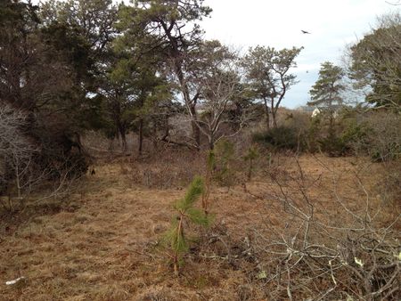 Property Image 0