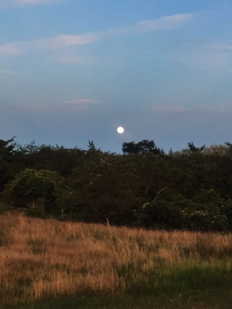 Wauwinet- 13 Wauwinet Road Image