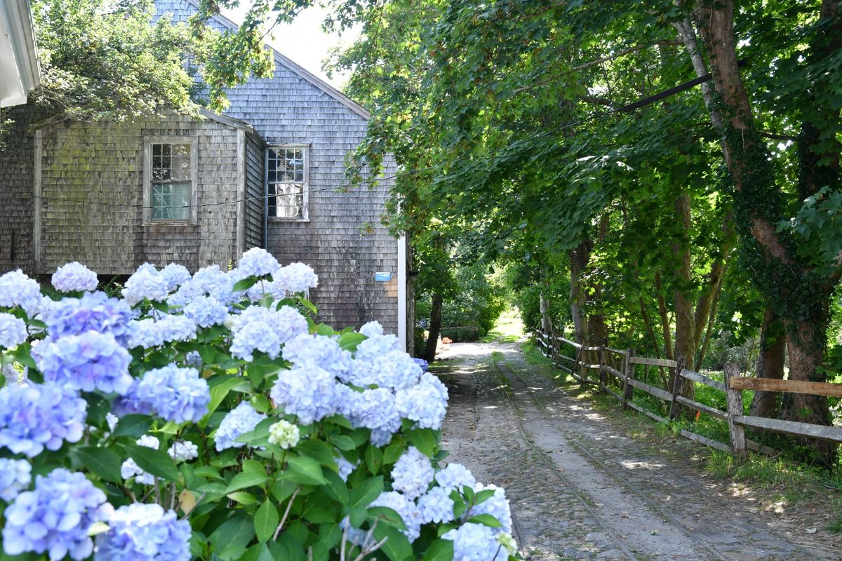 Town- 6 Gull Island Image