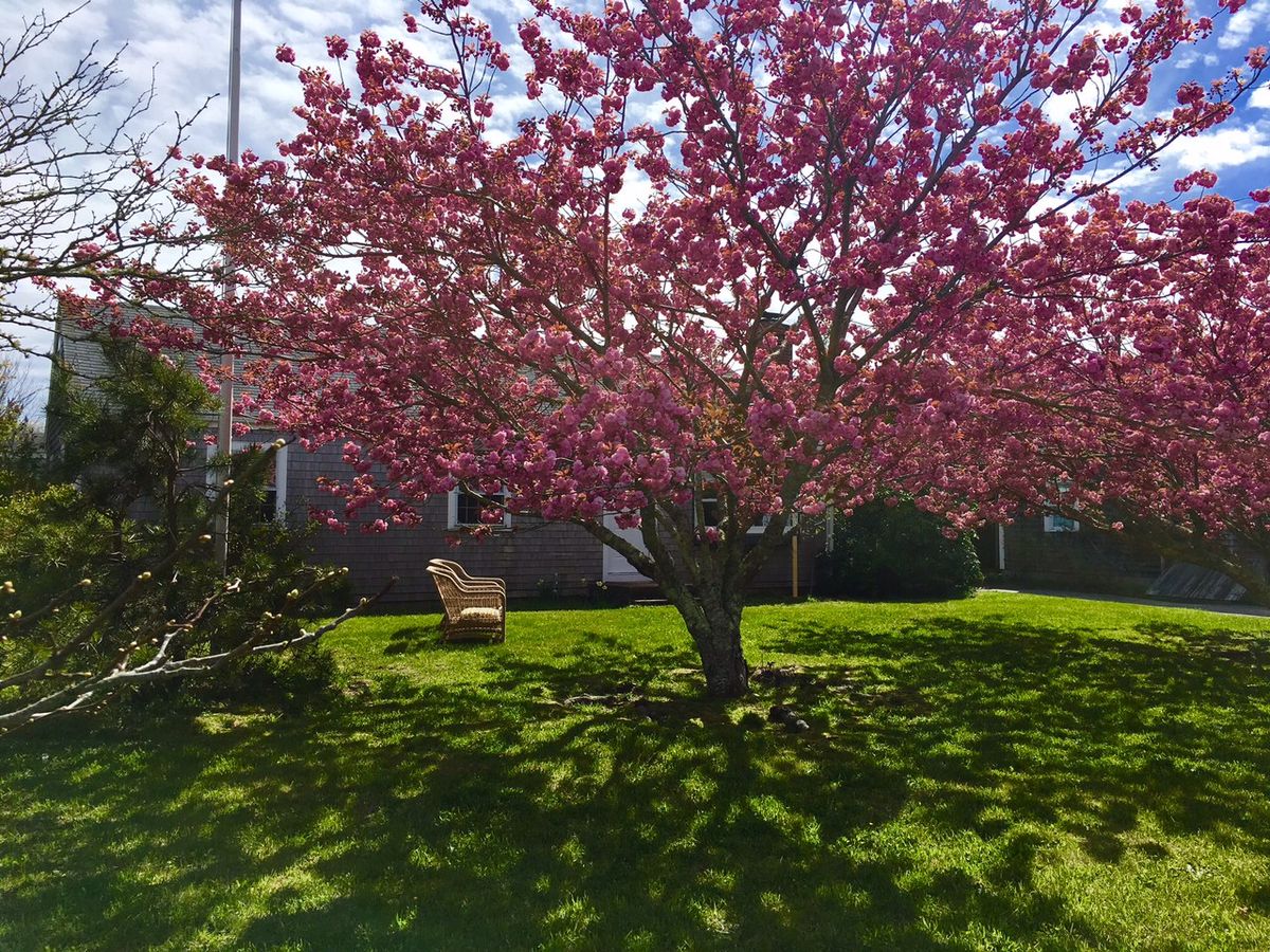 Mid Island- 1A Thurstons Way placeholder