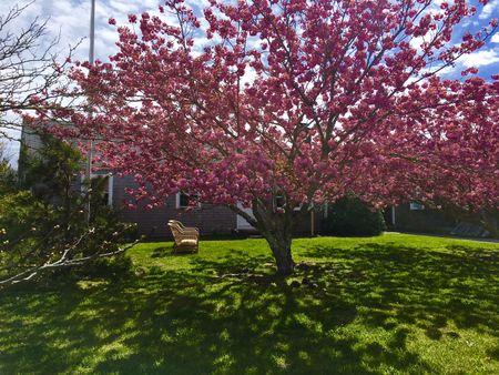 Mid Island- 1A Thurstons Way Image