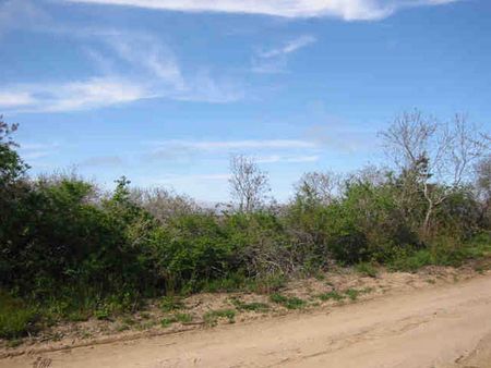 Property Image 0