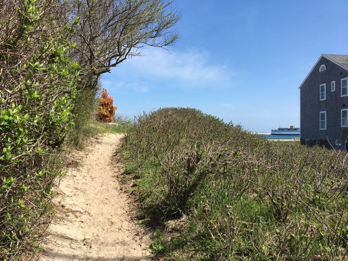 Brant Point- 38 Hulbert Avenue placeholder