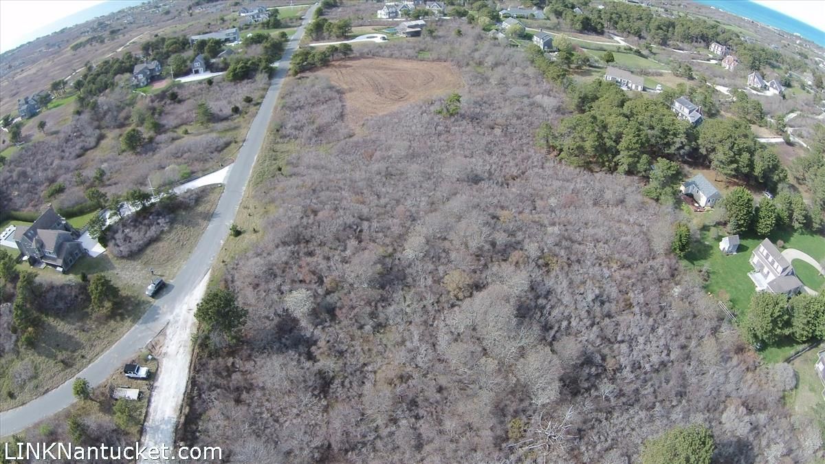 Dionis- 20 Bishops Rise Image