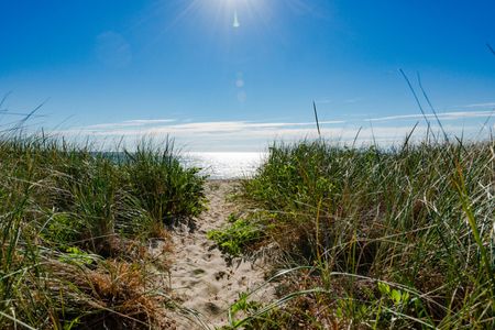 Path to beach