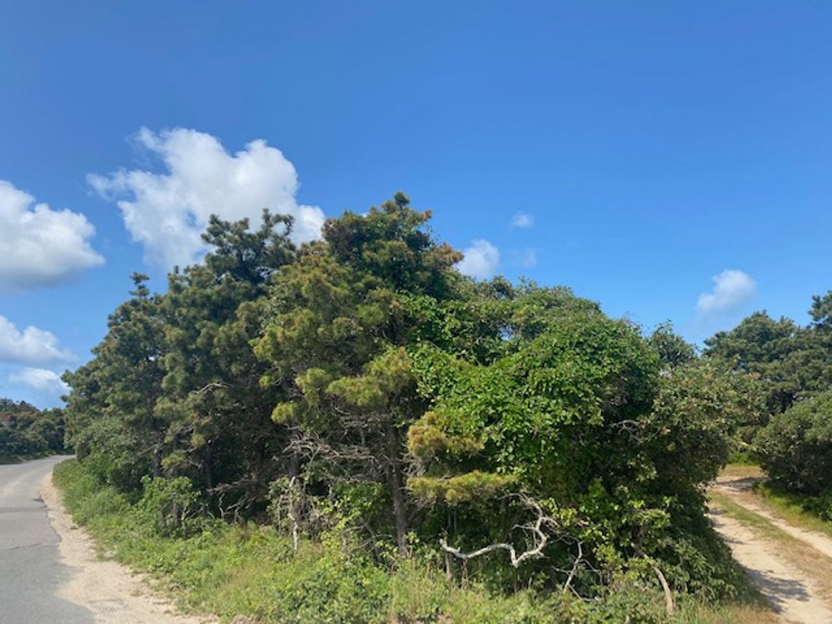 Surfside- 38 Monohansett Road Image