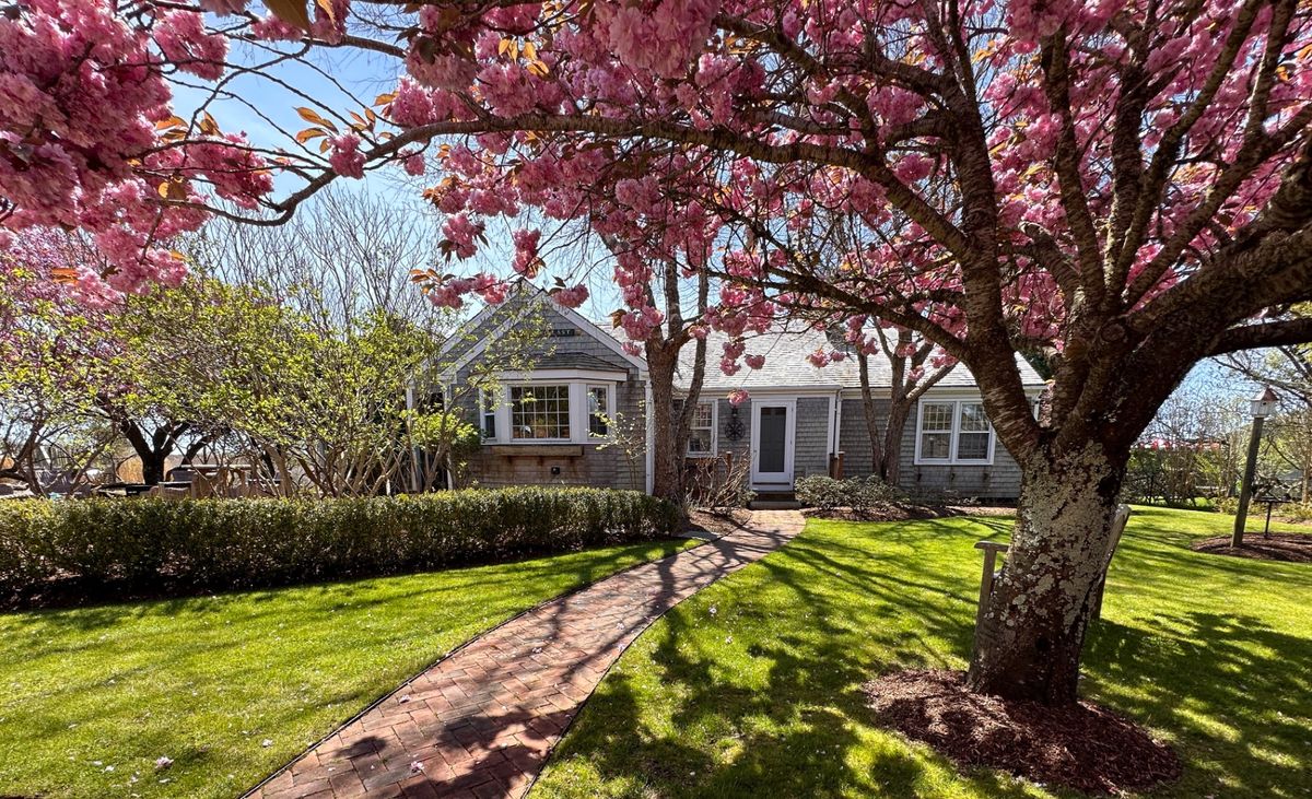 Property Image 0