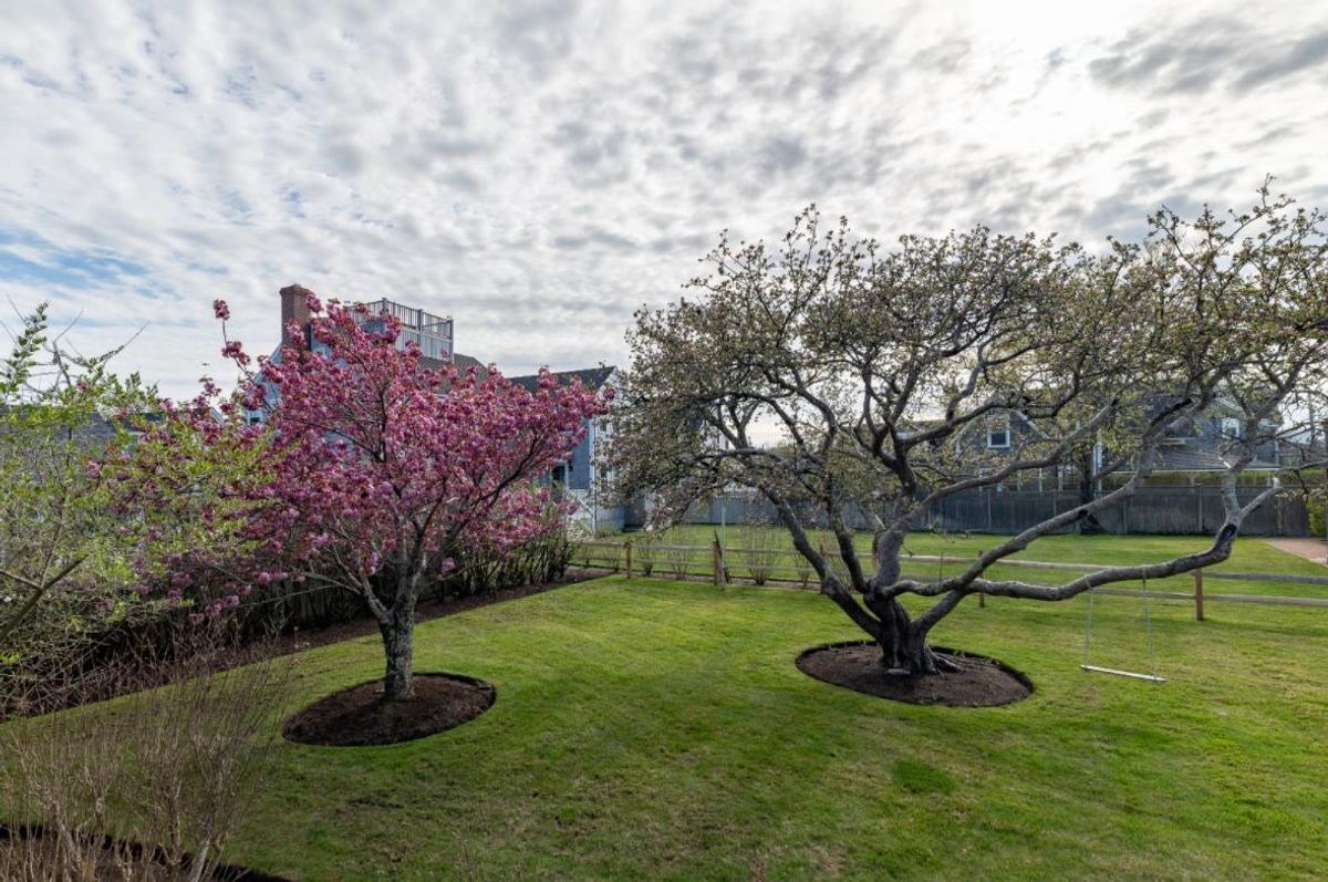 Brant Point- 16 Walsh Street (portion of) placeholder