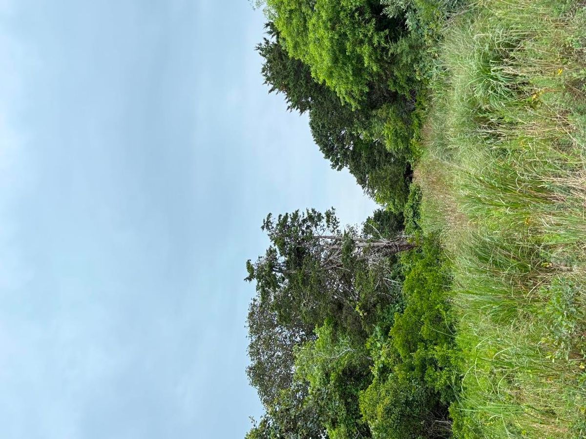 Sconset- 54 Burnell Street Portion of Image