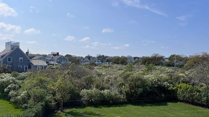 Rental Image 11
