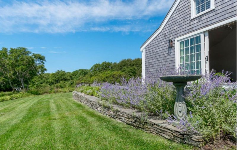 Rental Image 11