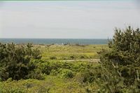 Rental Image 14