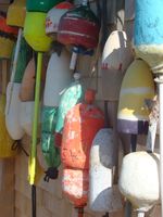 Rental Image 36