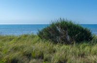 Rental Image 6