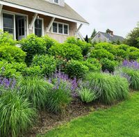 Rental Image 21