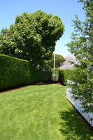 Rental Image 25