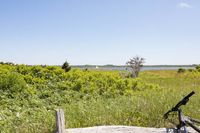 Rental Image 18