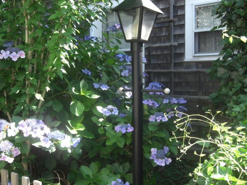 Rental Image 13